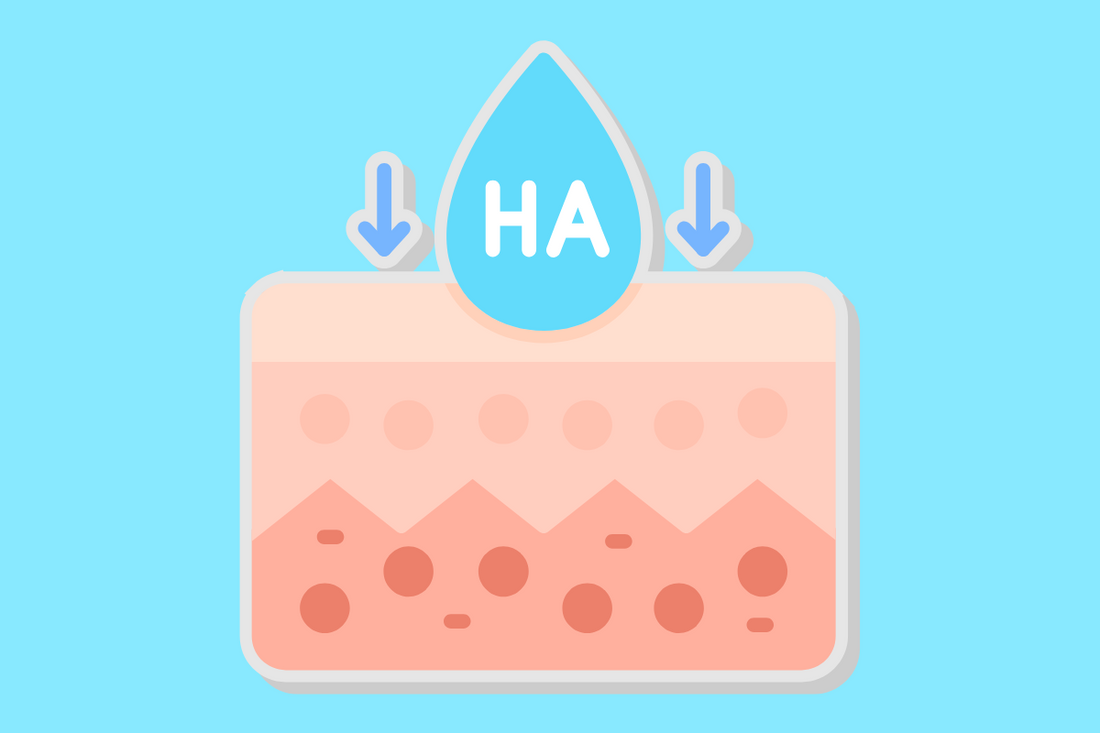 hyaluronic acid is an amazing skincare ingredient that can hold over 1000x its weight in water!