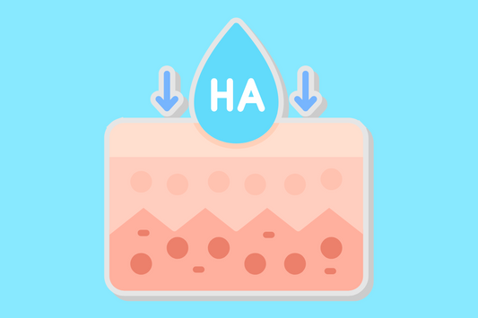 hyaluronic acid is an amazing skincare ingredient that can hold over 1000x its weight in water!